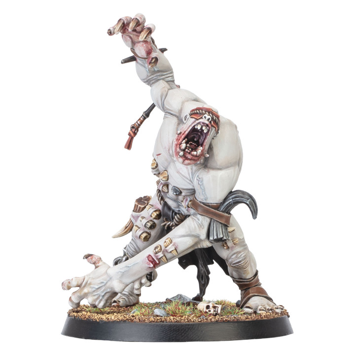 Warcry: Gorger Mawpack - MINIS