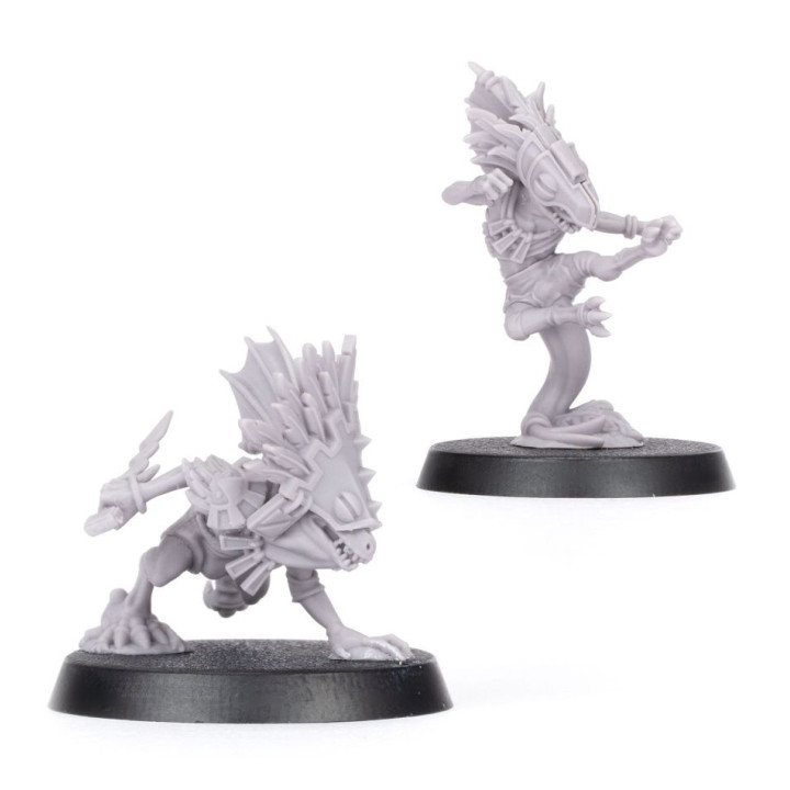 BLOOD BOWL - Dribl & Drull