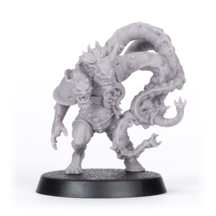 BLOOD BOWL - Withergrasp Doubledrool