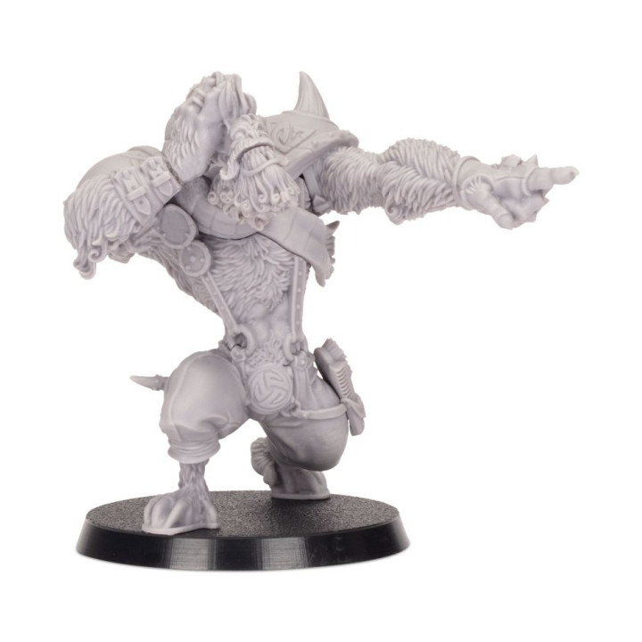 BLOOD BOWL - Skrorg Snowpelt