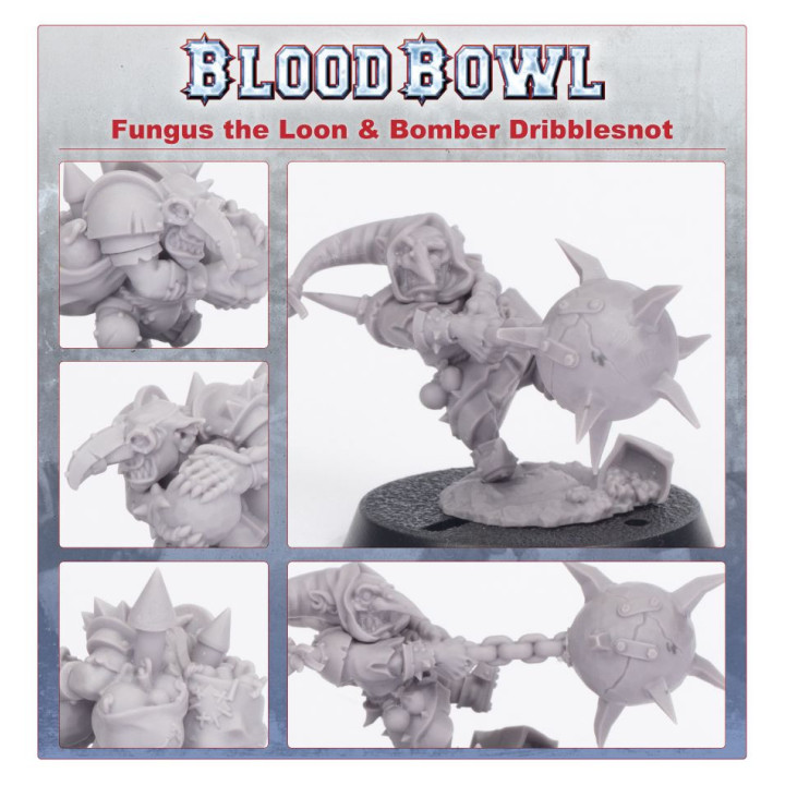 BLOOD BOWL - Fungus The Loon and Bomber Dribblesnot