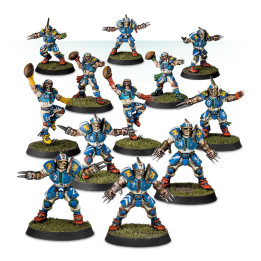 BLOOD BOWL - Équipe d'Humains: Reikland Reavers