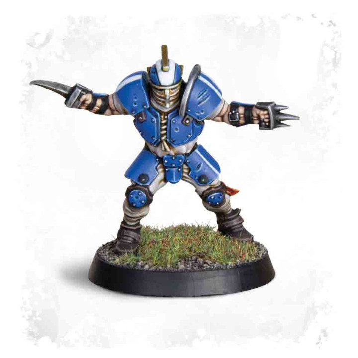 Human Team: Reikland Reavers - BLOOD BOWL