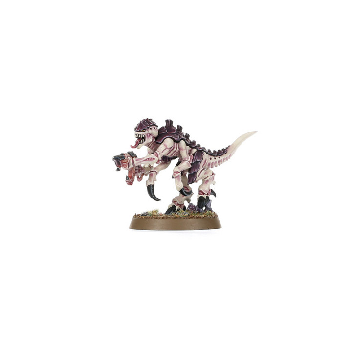 Warhammer 40,000 Ultimate Starter Set - FIGURE
