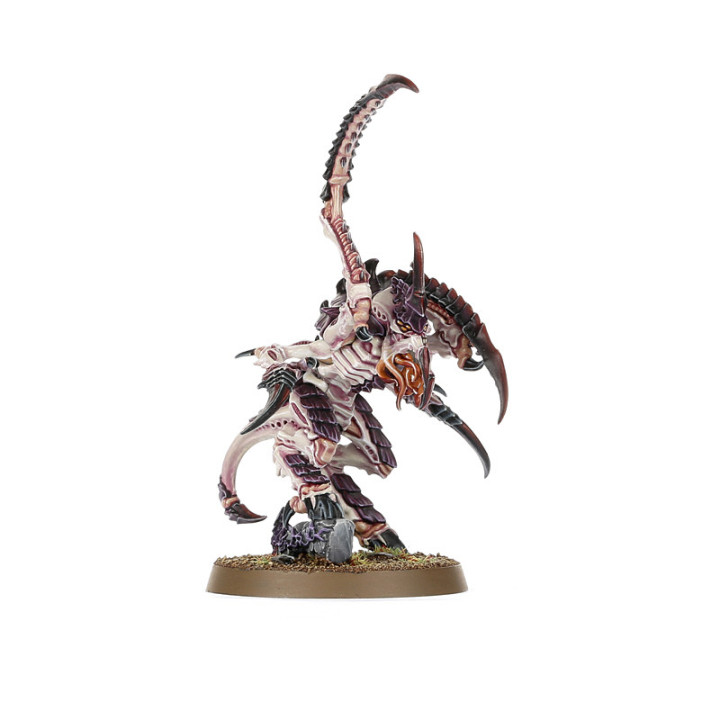 Warhammer 40,000 Introductory Set - FIGURE