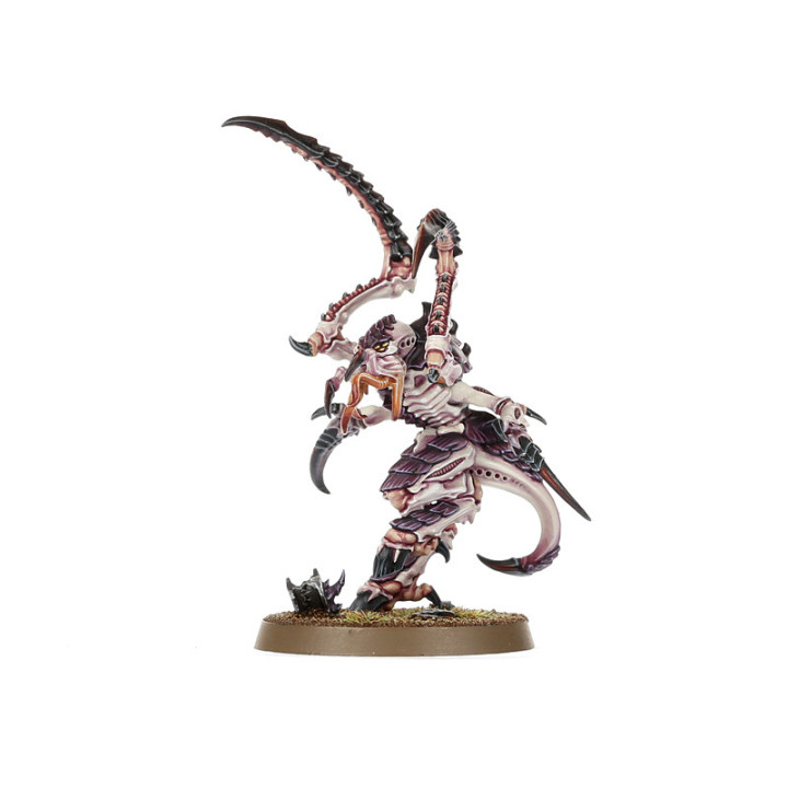 FIGURINES - Set d'Introduction Warhammer 40,000
