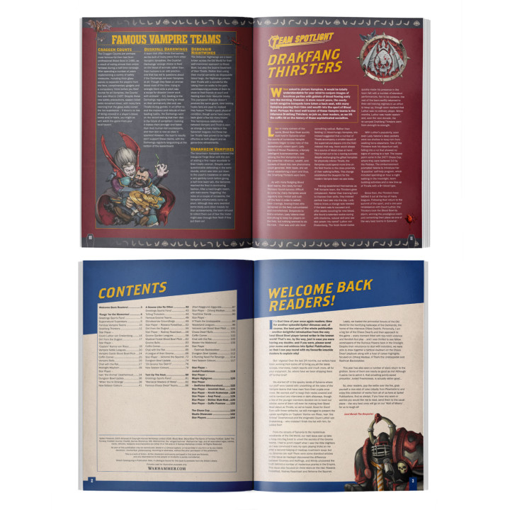 Blood Bowl: Spike! Presents – 2024 Almanac! - BOOKS