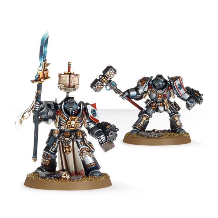Grey Knights Paladins - MINIS