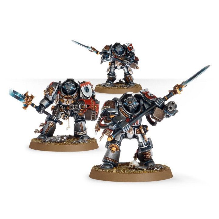 Paladine der Grey Knights - FIGURINEN