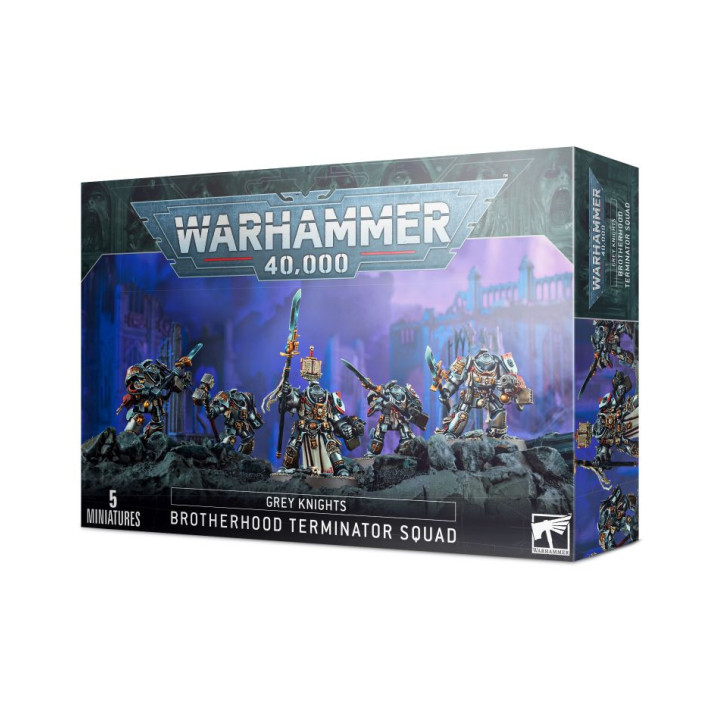 Grey Knights Paladins - MINIS