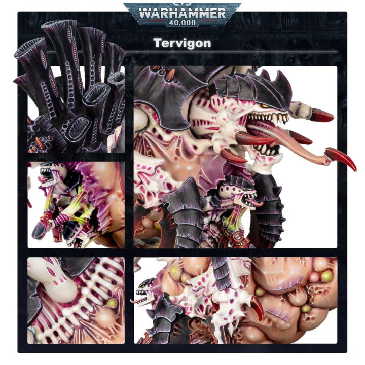 Tervigon - XENOS ARMIES