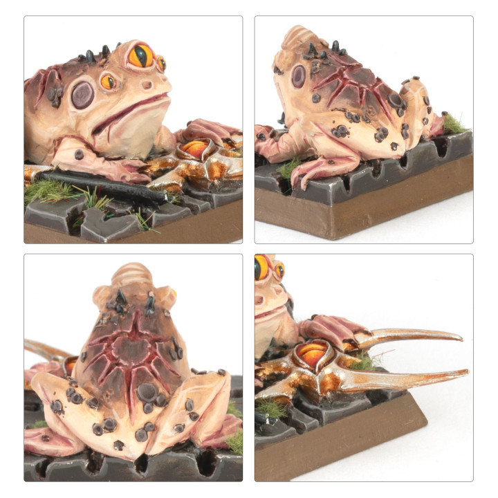 ORCS ET GOBELINS - Grenouilles Arcaniques